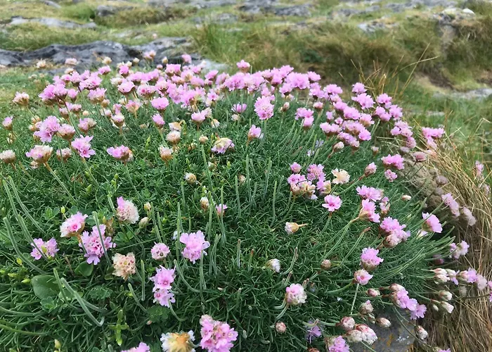 Riverside In Coppervalley Vue Couette-café *