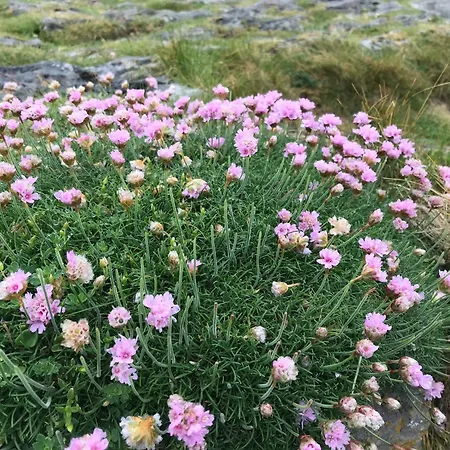 Riverside In Coppervalley Vue Bed & Breakfast *